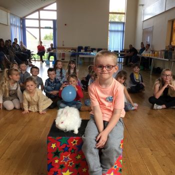 Chellaston birthday celebration with Snowy the rabbit