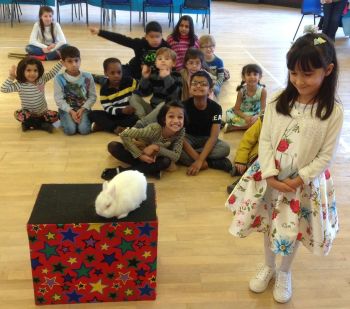 Derbyshire birthday party with Snowy the rabbit
