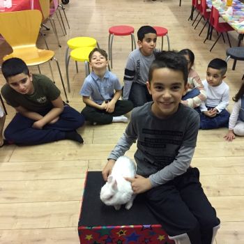 Ilkeston birthday party with Snowy the rabbit
