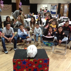 kids party entertainer Bakewell