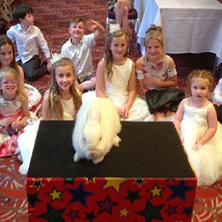 magician wedding childrens entertainer fun and games Magic Stuart engaging children with fun and games as a magician and entertainer at a wedding