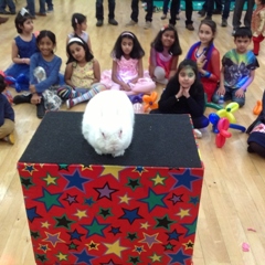 Mansfield childrens party entertainer magician