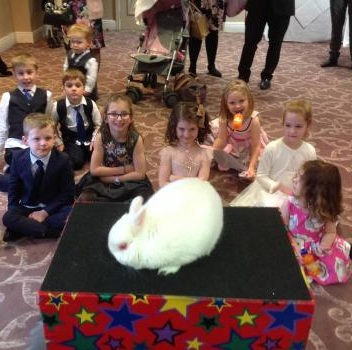 Snowy the live rabbit at a wedding event in Findern Children’s entertainer with Snowy the live rabbit at a wedding in Findern