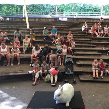 Children’s entertainer with Snowy the live rabbit at an event in Southwell