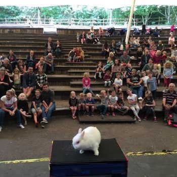 Children’s entertainer with Snowy the live rabbit at an event in Stafford