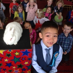 magic and balloon twisting for kids parties in Mansfield