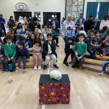 Fun and inclusive children's entertainment by an entertainer in Alfreton