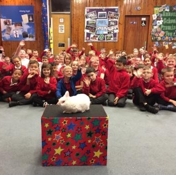 Fun and inclusive children's entertainment by an entertainer in Ashby De La Zouch