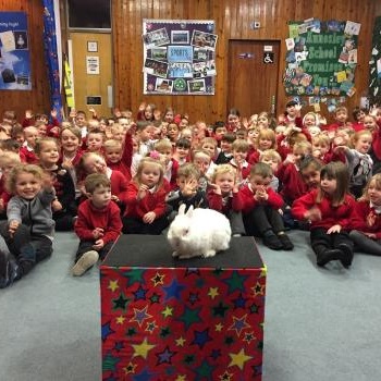 Stress-Free Kids Birthday, School and Events in Burton Upon Trent Fun and inclusive children's entertainment by an entertainer in Burton Upon Trent