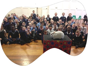 School magic show entertainment for kids