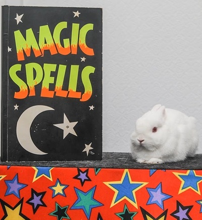 Picture of Snowy the rabbit in a feature about children’s party entertainment.