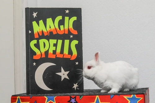 Still image of Magic Stuart and Snowy during a TV interview about children’s parties.